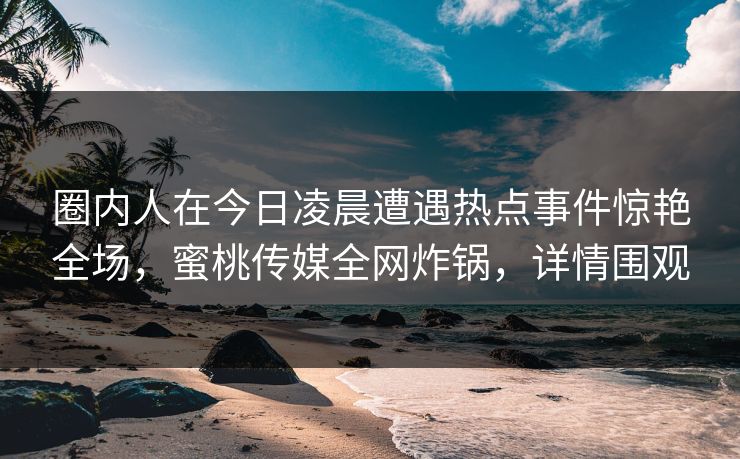圈内人在今日凌晨遭遇热点事件惊艳全场，蜜桃传媒全网炸锅，详情围观
