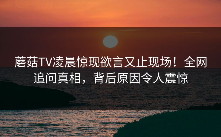 蘑菇TV凌晨惊现欲言又止现场！全网追问真相，背后原因令人震惊