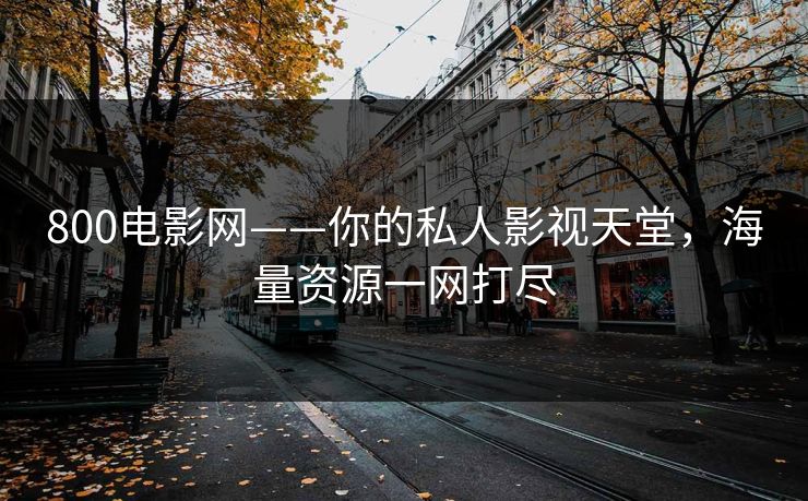 800电影网——你的私人影视天堂，海量资源一网打尽